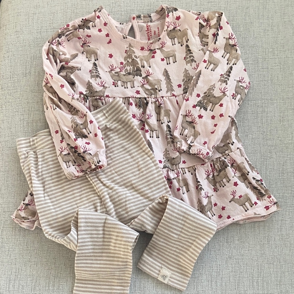 Burt’s bees Pink Reindeer dress and legging set